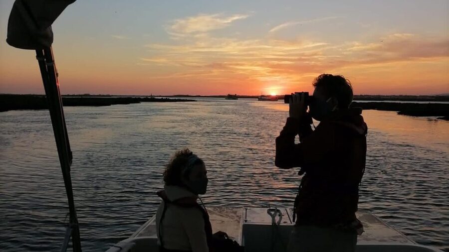 From Faro: Ria Formosa Sunset Boat Trip - The Sunset Viewpoint and Faro Skyline