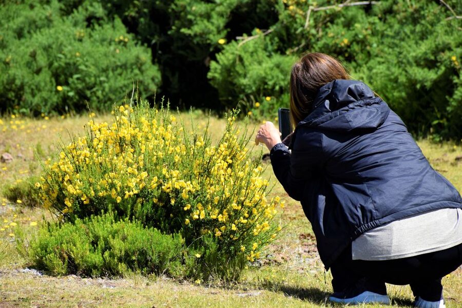 From Funchal: 2-Day Guided Tour of Madeira - The guides make the long drives worthwhile