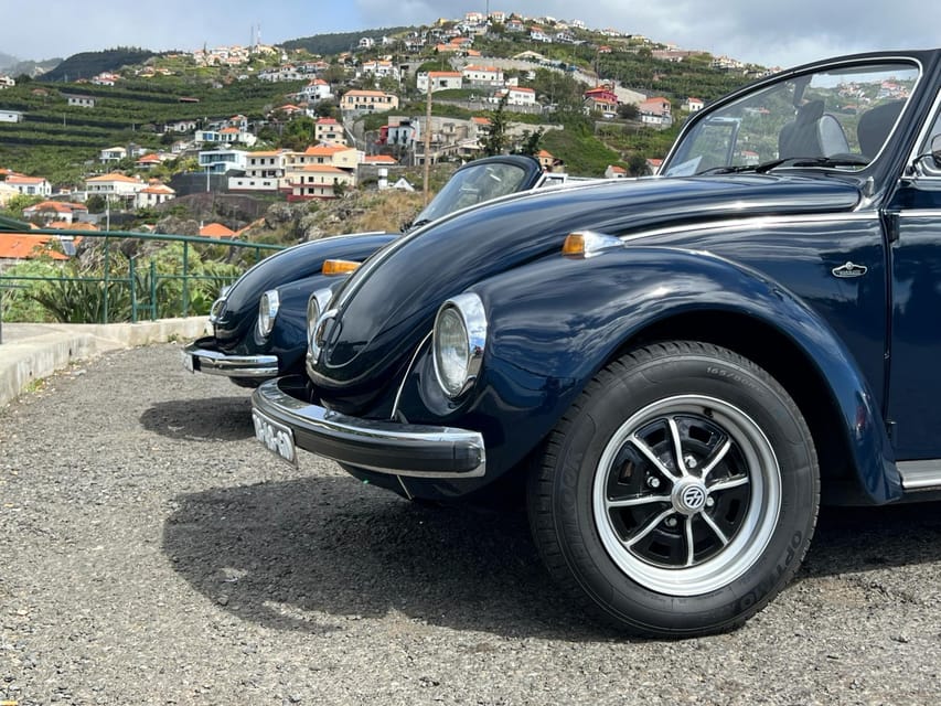 From Funchal: Cabo Girão & Poncha Tasting by Classic VW - The road to Ribeira Brava
