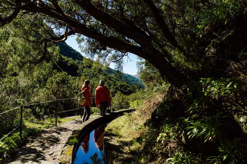 From Funchal/Caniço: Rabaçal Hike (25 Fontes) Bus Transfer - The one-hour ride into Madeira’s high country