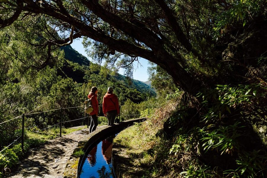 From Funchal/Caniço: Rabaçal Hike (25 Fontes) Bus Transfer - Who should book this Rabaçal transfer