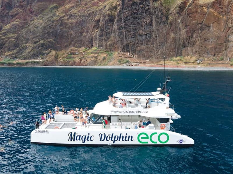 From Funchal: Ecological Catamaran Dolphin Whale Watching - Key points to know before booking