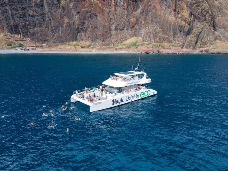 From Funchal: Ecological Catamaran Dolphin Whale Watching - The Cabo Girão swim and the south coast return