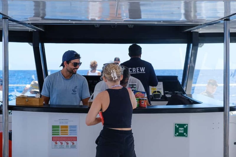 From Funchal: Ecological Catamaran Dolphin Whale Watching - What the $40 price really covers