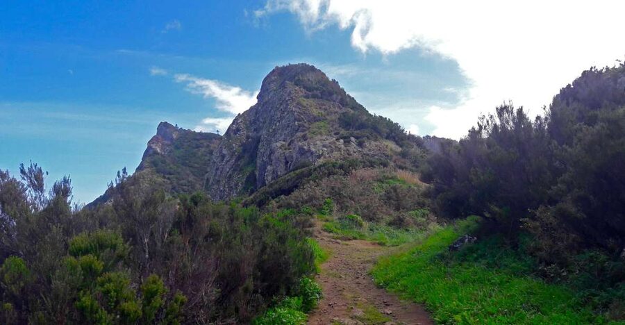 From Funchal: Machico to Porto da Cruz Larano Cliff Hike - Why this hike is different from a standard Madeira walk