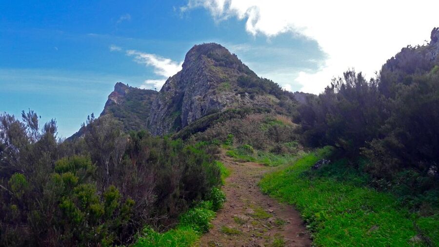 From Funchal: Machico to Porto da Cruz Larano Cliff Hike - Agricultural Madeira before the cliffs