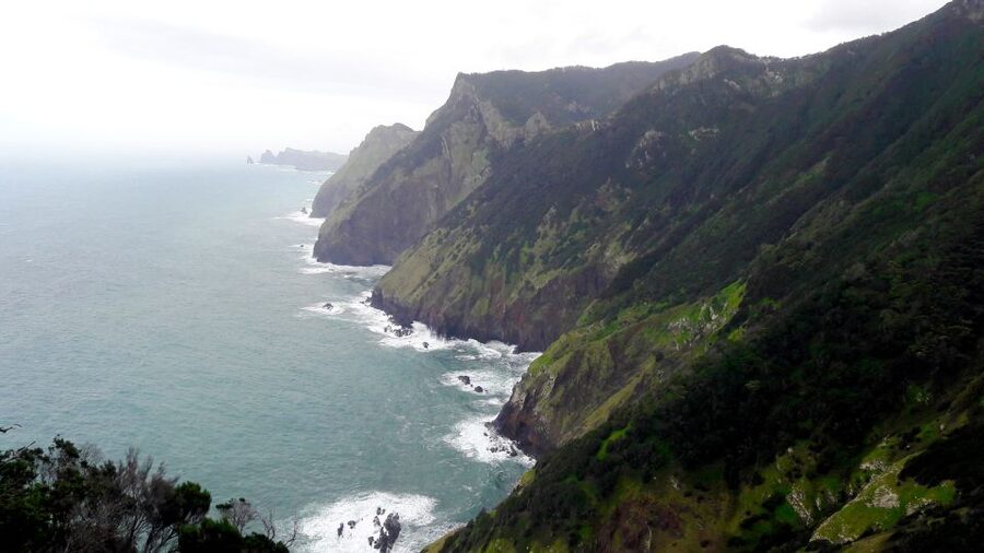 From Funchal: Machico to Porto da Cruz Larano Cliff Hike - The São Lourenço and Porto Santo viewpoints