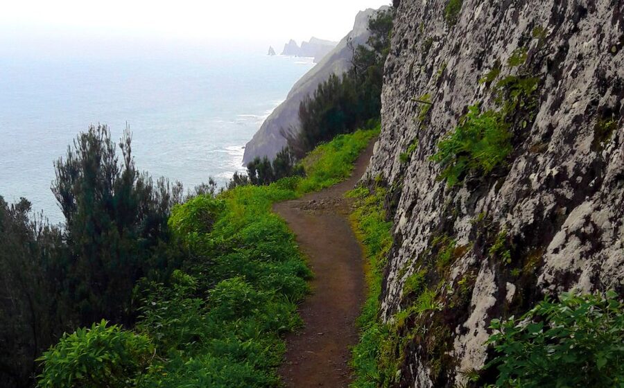From Funchal: Machico to Porto da Cruz Larano Cliff Hike - From Funchal to Machico by morning