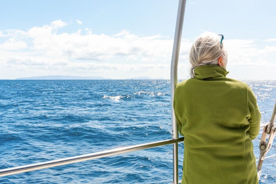 From Funchal: Madeira Dolphin and Whale Watching Tour - Key points to know before you go