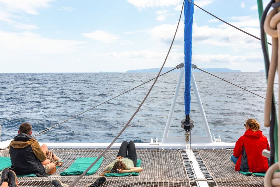 From Funchal: Madeira Dolphin and Whale Watching Tour - Swimming beneath Cabo Girão in summer