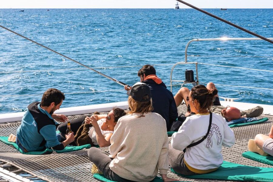 From Funchal: Madeira Dolphin and Whale Watching Tour - Is $47 good value for three hours?