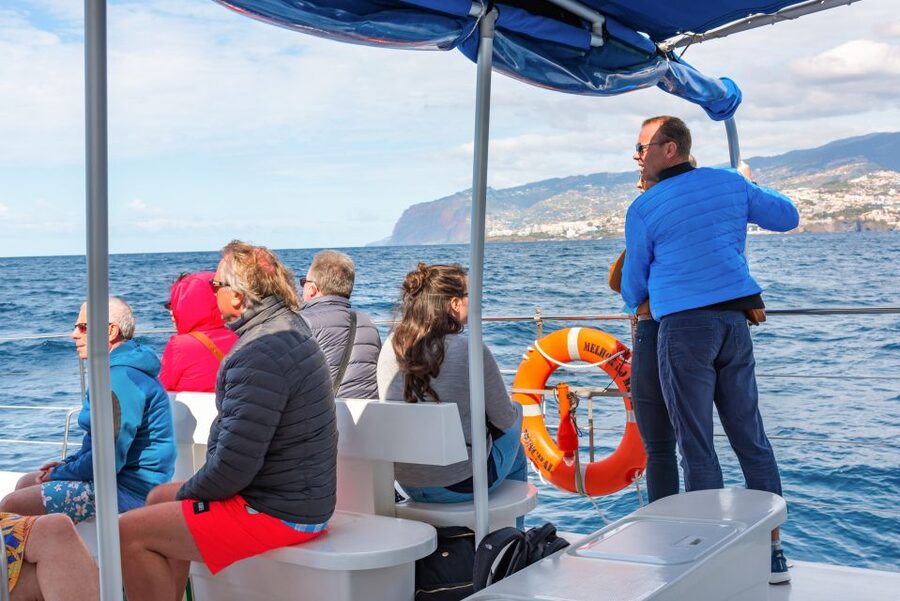 From Funchal: Madeira Dolphin and Whale Watching Tour - Who will enjoy this boat trip most?