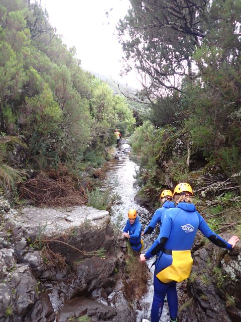 From Funchal: Madeira Island Canyoning for Beginners - Who should book this Madeira canyoning trip?