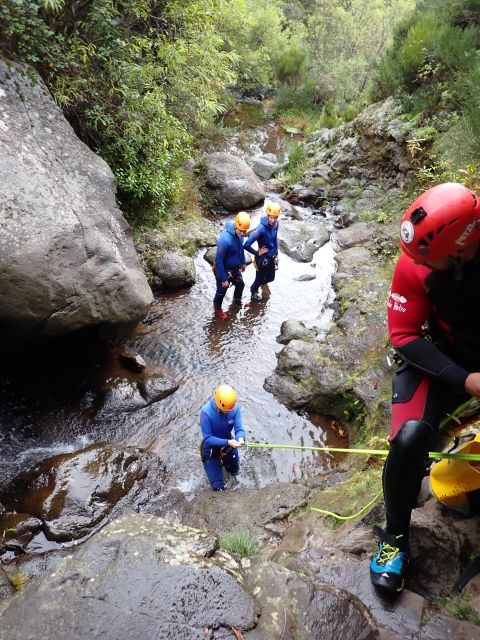 From Funchal: Madeira Island Canyoning for Beginners - What $82 includes, and what it does not