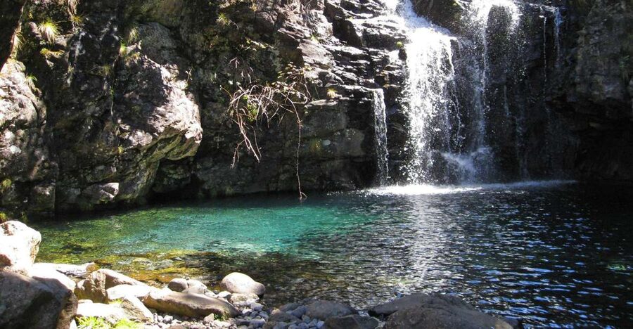 From Funchal: Madeira Lakes Levada Guided Hike - Starting From Funchal and Reaching the Levada
