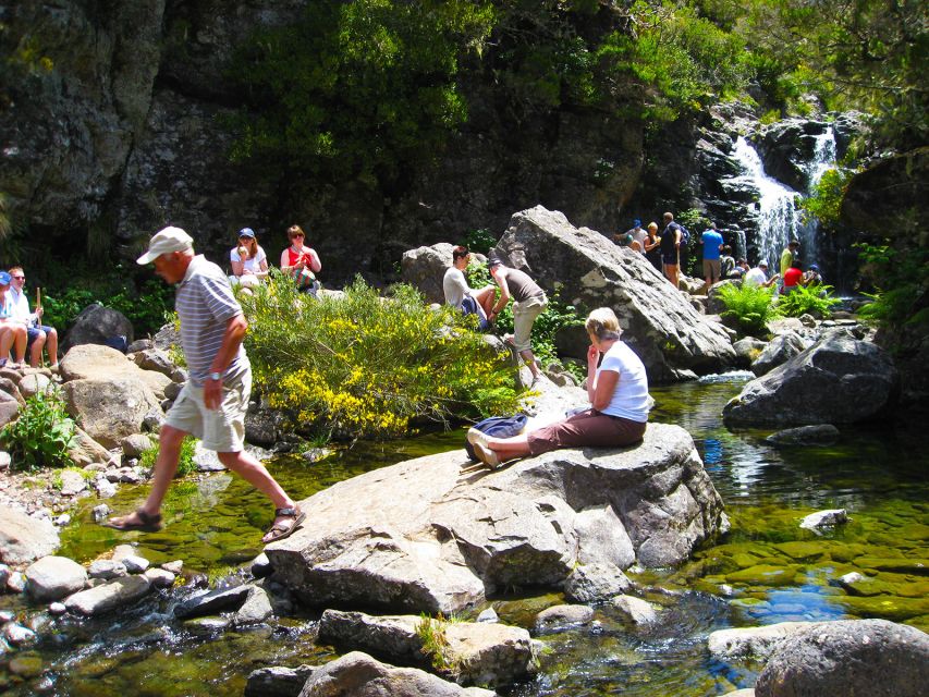 From Funchal: Madeira Lakes Levada Guided Hike - Through Forest, Birdsong, and Running Water