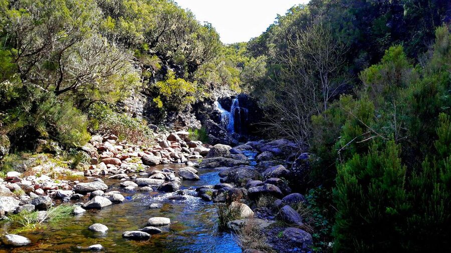 From Funchal: Madeira Lakes Levada Guided Hike - Who Should Book This Hike?