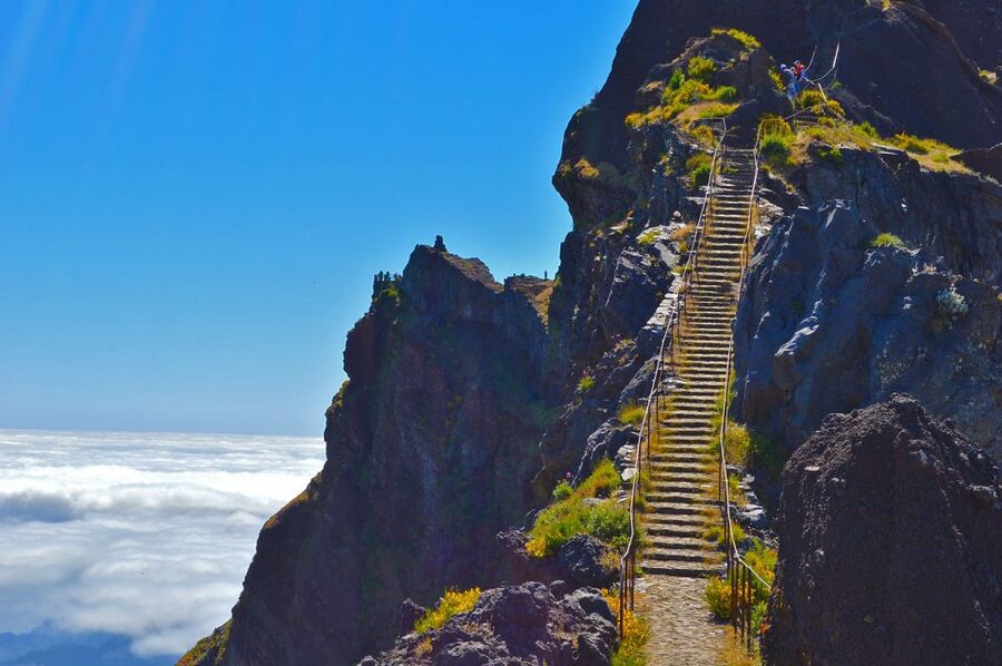 From Funchal: Madeira Peaks Mountain Walk - Key points to know before you book