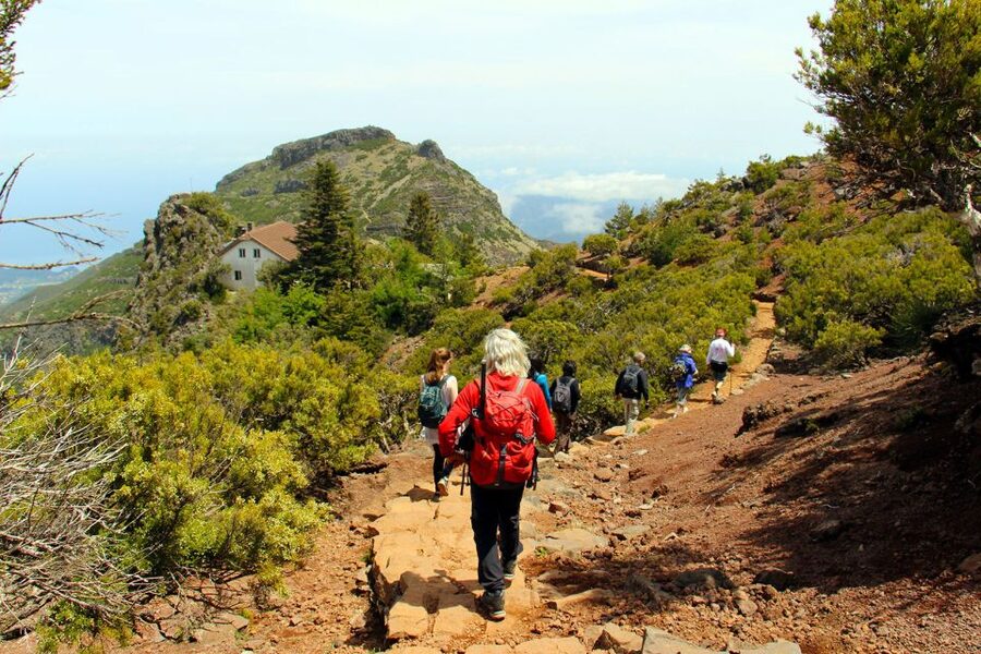 From Funchal: Madeira Peaks Mountain Walk - Starting high at Pico do Arieiro