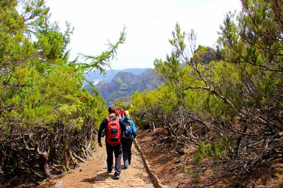 From Funchal: Madeira Peaks Mountain Walk - The hard sections: stairs, heat, and uneven ground