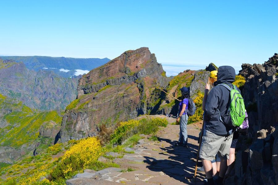From Funchal: Madeira Peaks Mountain Walk - The van ride from Funchal to the high peaks