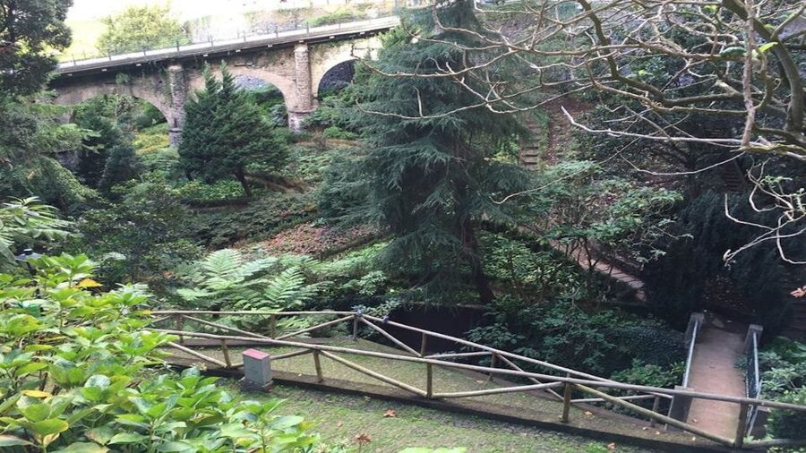 From Funchal: Nuns Valley, Monte and Sleigh Ride Tour - Monte and the island’s unusual downhill transport