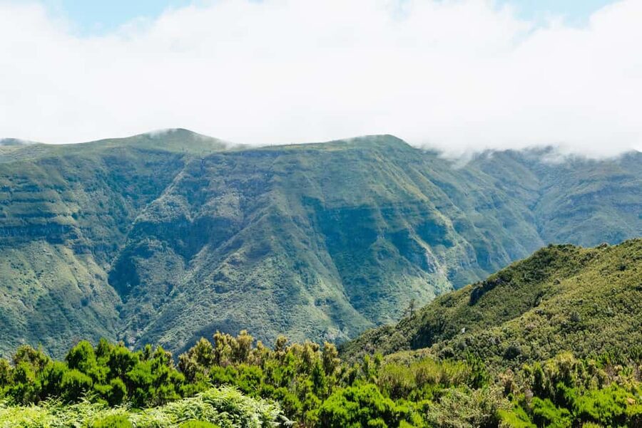 From Funchal: Porto Moniz and Seixal Day Tour by Jeep - Climbing toward Paúl da Serra