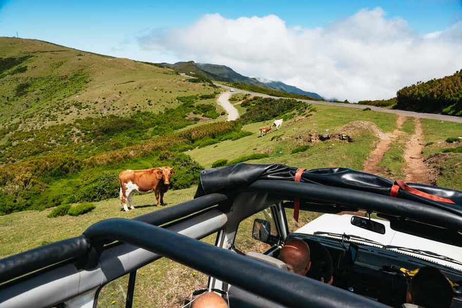 From Funchal: Porto Moniz and Seixal Day Tour by Jeep - São Vicente and the north coast drive