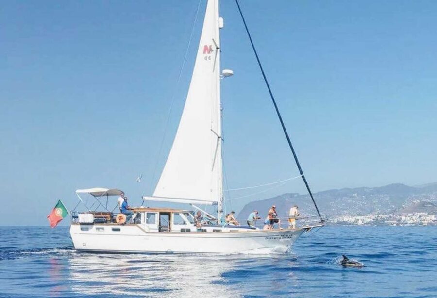 From Funchal: West Bays Sailing Tour with Lunch - Watching for dolphins and whales offshore