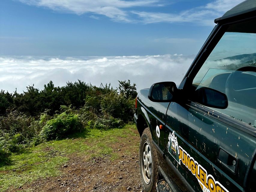 From Funchal:West Madeira Open-roof 4x4 Day Tour with Pickup - Fanal Forest feels cooler and older