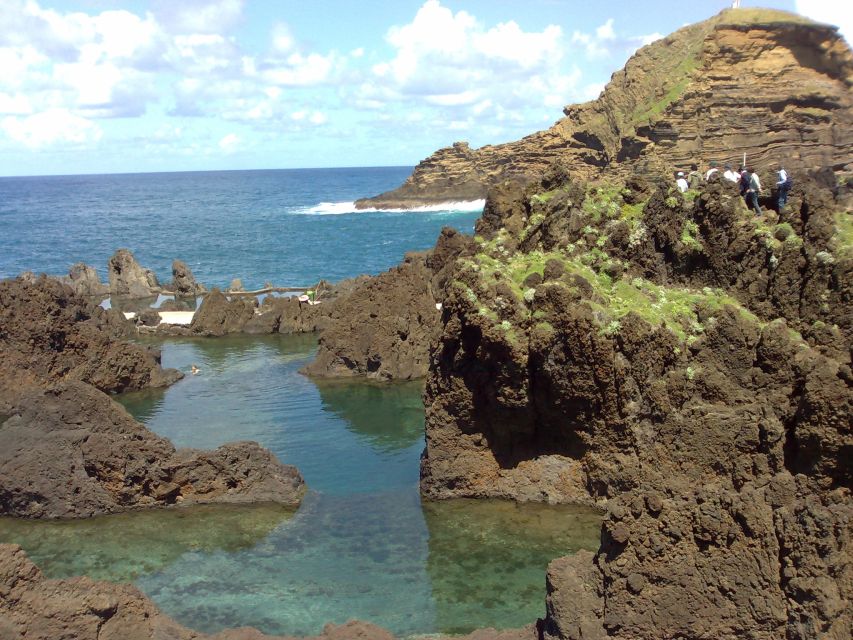 From Funchal: West Madeira Waterfalls and Fanal Forest Tour - Why this west Madeira tour works