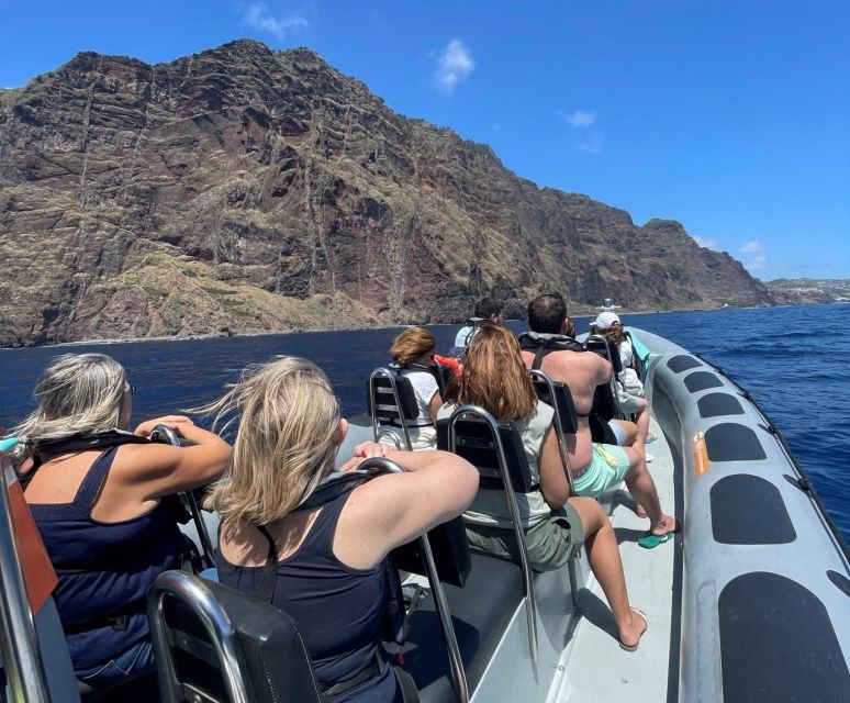 From Funchal: Whale and Dolphin Watching - Why the marine biologist makes a difference
