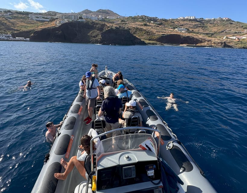 From Funchal: Whale and Dolphin Watching - Is $56 a fair price?