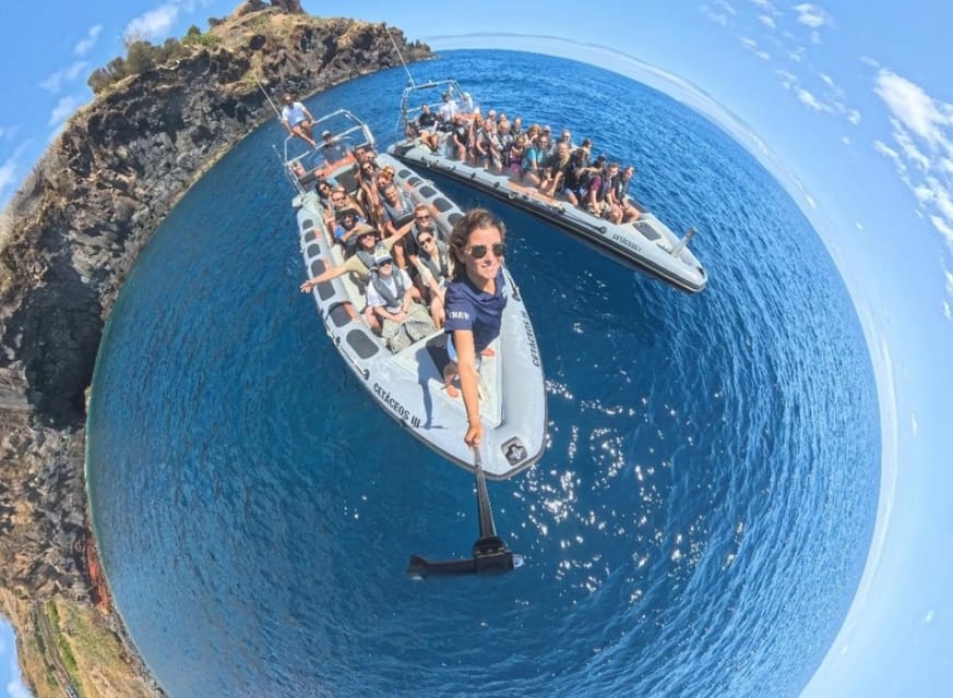 From Funchal: Whale and Dolphin Watching - How to prepare for the best outing