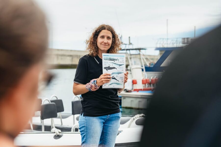 From Funchal: Whales and Dolphin Adventure Tour - Booking, cancellation, and timing advice