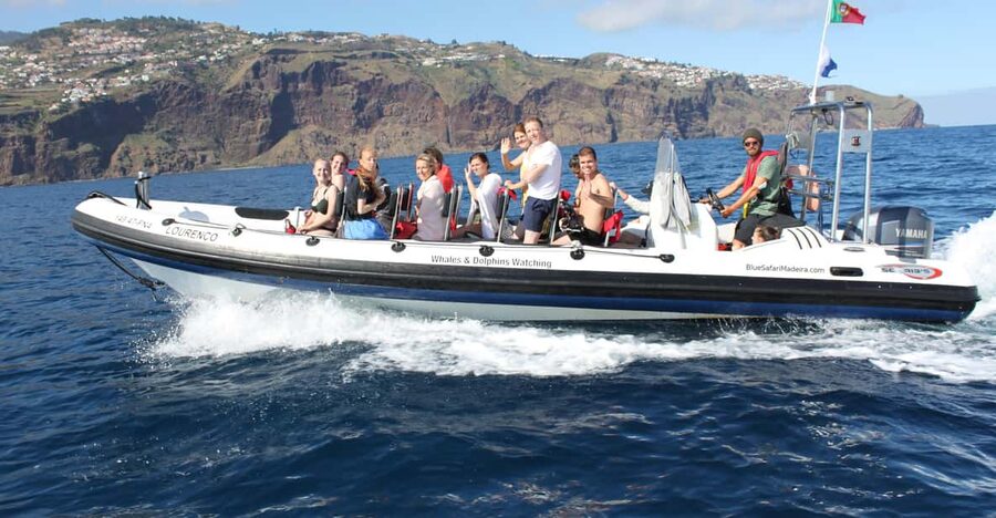 From Funchal: Whales and Dolphin Adventure Tour - Leaving Funchal Marina in a compact RIB