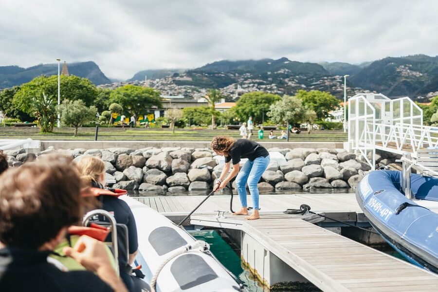 From Funchal: Whales and Dolphin Adventure Tour - Guides who add more than animal names