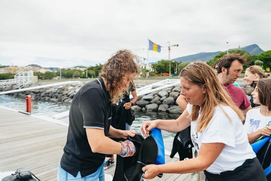 From Funchal: Whales and Dolphin Adventure Tour - What swimming with dolphins really involves