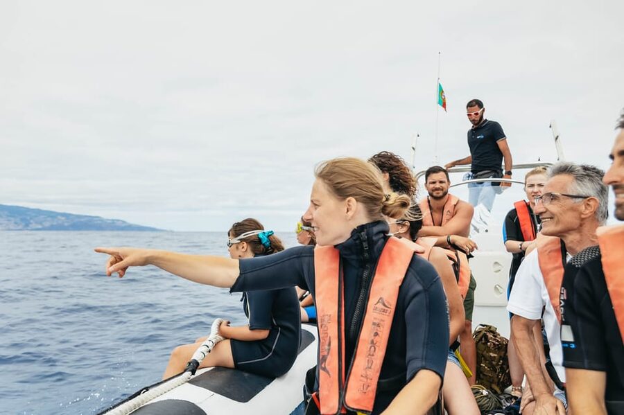 From Funchal: Whales and Dolphin Adventure Tour - Who should book this boat trip?