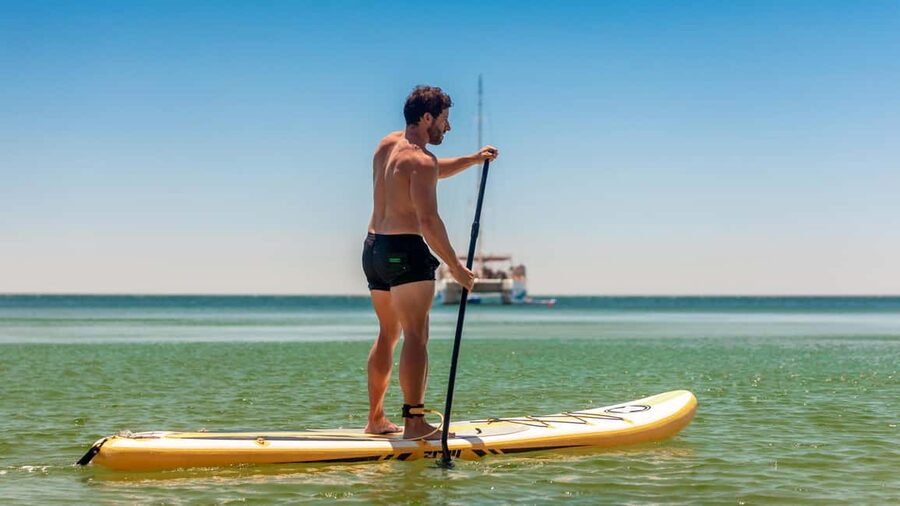 From Lagos: Algarve Cruise by Catamaran - Key points to know before you book