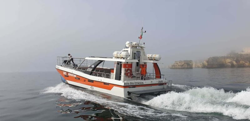 From Lagos: Benagil Caves Catamaran Cruise - What the 2.5-hour schedule really means