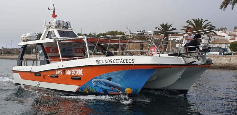 From Lagos: Benagil Caves Catamaran Cruise - Is $38 a fair price?