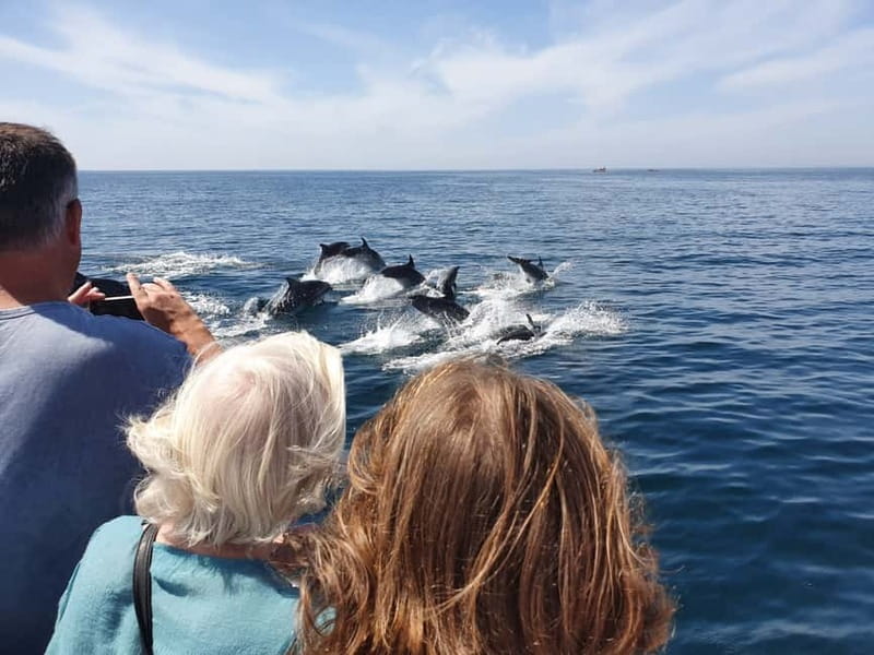From Lagos: Dolphin Watching Catamaran Cruise - What the 1.5-hour timing means