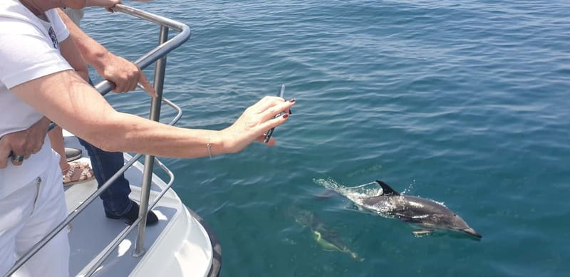 From Lagos: Dolphin Watching Catamaran Cruise - Is $38 a fair price?