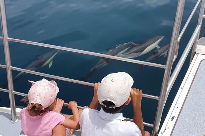 From Lagos: Dolphin Watching Cruise on a Catamaran - Leaving Lagos Marina for the Atlantic