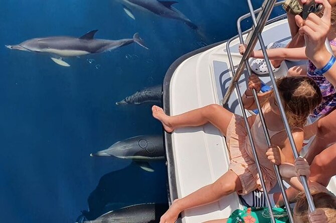 From Lagos: Dolphin Watching Cruise on a Catamaran - Coastal views, caves, and the ride back