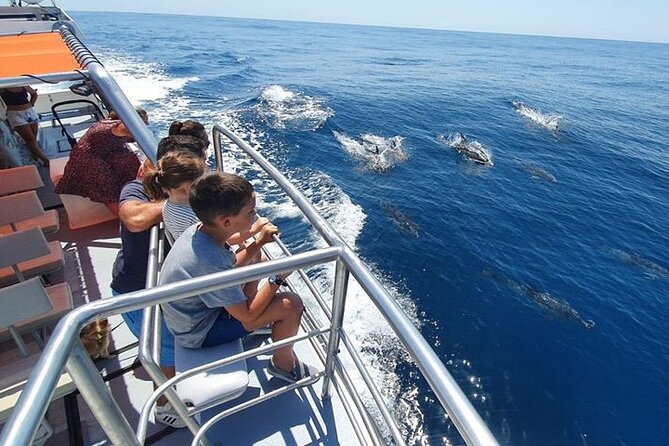 From Lagos: Dolphin Watching Cruise on a Catamaran - Comfort is good, but the Atlantic can be rough