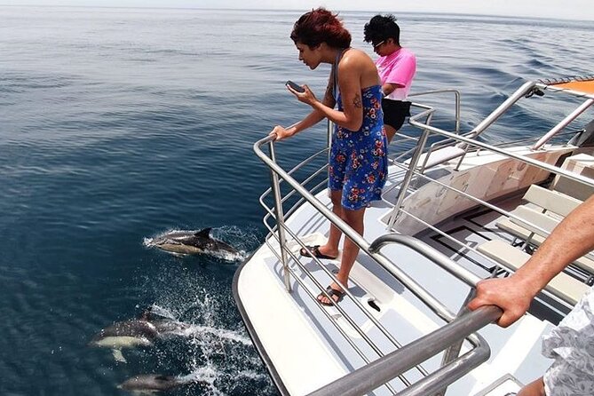 From Lagos: Dolphin Watching Cruise on a Catamaran - What the $48.39 price gets you