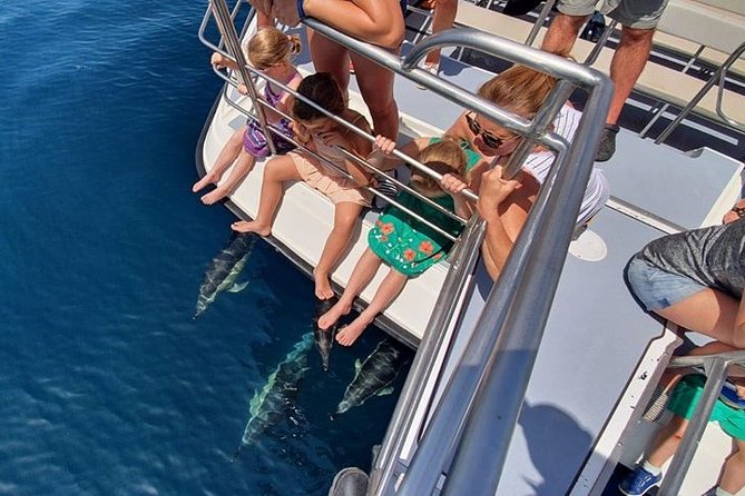 From Lagos: Dolphin Watching Cruise on a Catamaran - Who will enjoy this Lagos cruise most