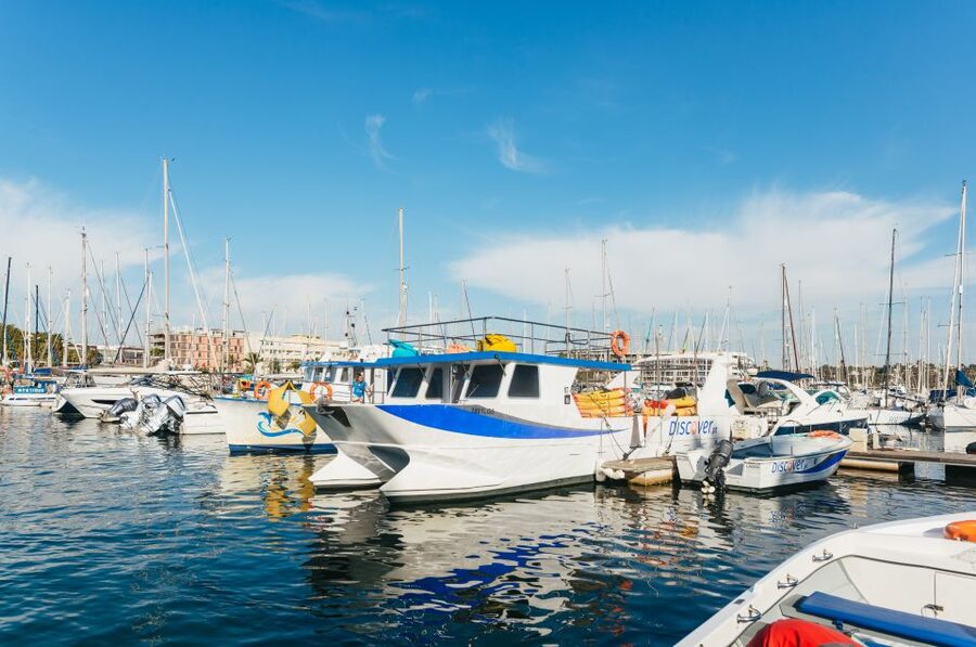 From Lagos: Kayaking and Boat Cave Explorer Tour - Who will enjoy this tour most